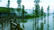 松湖烟雨